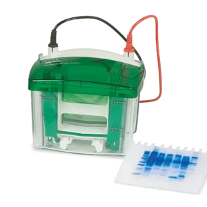 Mini-PROTEAN Tetra Cell
