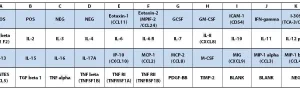 RayBiotech Human Inflammation Array C3 AAH-INF-3-2