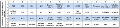 RayBiotech Human Inflammation Array C3 AAH-INF-3-2
