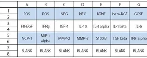 RayBiotech Human Neuro Discovery Array C1 AAH-NEU-1-2