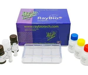 RayBiotech Human Angiogenesis Array C1000 AAH-ANG-1000-2