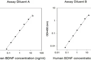 RayBiotech Human BDNF ELISA Kit ELH-BDNF-1