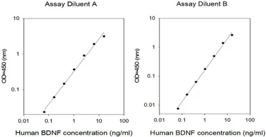 RayBiotech Human BDNF ELISA Kit ELH-BDNF-1