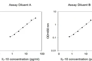 RayBiotech Human IL-10 ELISA Kit ELH-IL10-1