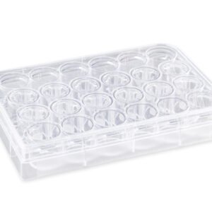 Corning 6.5 mm Transwell 0.4 µm Polycarbonate Insert 3413