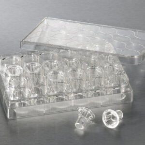 Corning 6.5 mm Transwell 8.0 µm Polycarbonate Insert 3422