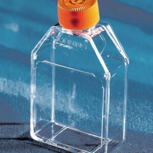 Corning 25 cm² Cell Culture Flask with Vent Cap 430639