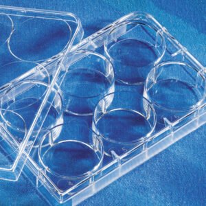 Corning Costar 6-Well TC-Treated Cell Culture Plate 3516
