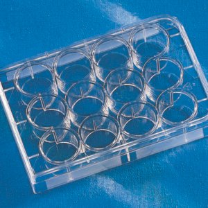 Corning Costar 24-Well TC-Treated Cell Culture Plate 3524