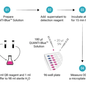 InvivoGen QUANTI-Blue colorimetric SEAP detection reagent