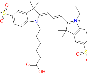 Energybiopharma ENG-CY001 Sulfo-Cy3 Carboxylic Acid orange fluorescent dye