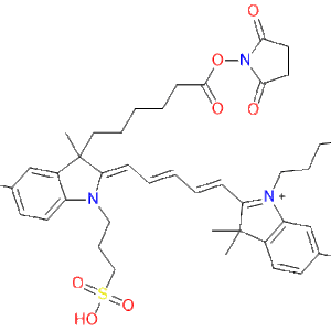 Energy Biopharma ENG-AF004 AF647 NHS Ester with six-carbon linker