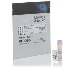 Thermo Fisher Scientific A20009 Alexa Fluor 555 NHS Ester orange fluorescent dye