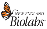 NEB PURExpress® In Vitro Protein Synthesis Kit