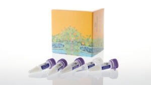 Promega TNT® SP6 High-Yield Wheat Germ Protein Expression System